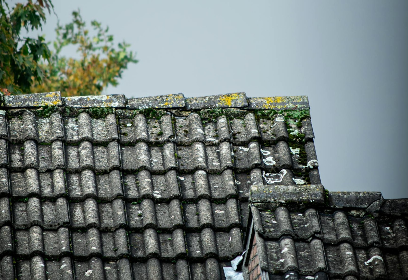 Moosiges Dach vor der Reinigung