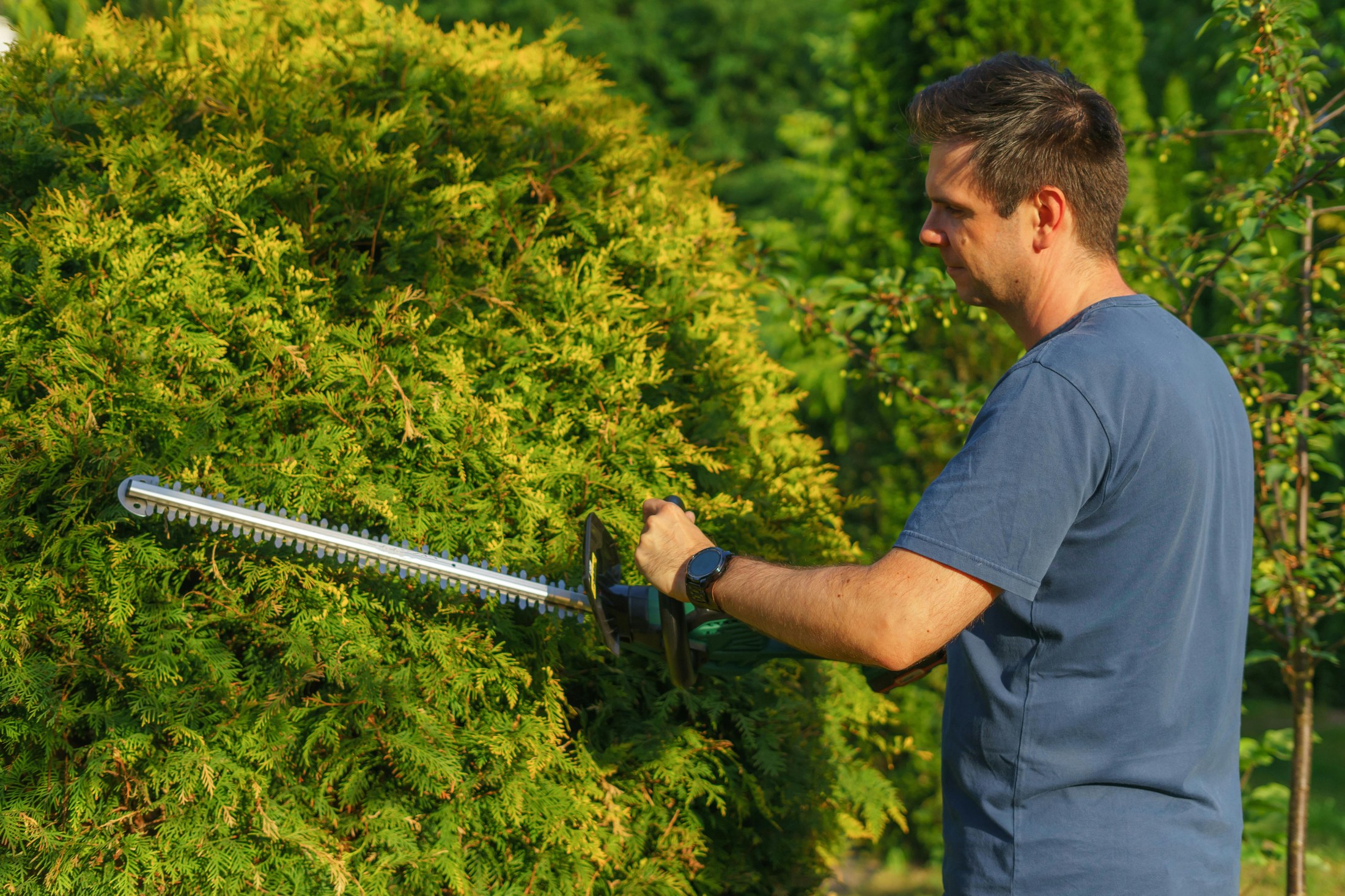 Gartenarbeit Harzservice